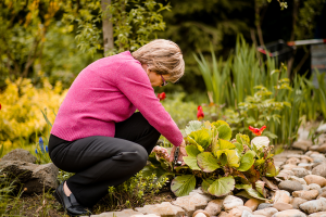 Seniors Gardening May Need Vancouver WA Chiropractic 